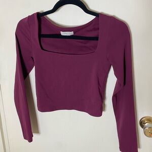 Aritzia Babaton Squareneck Longsleeve contour top Berry Small Crop Waist